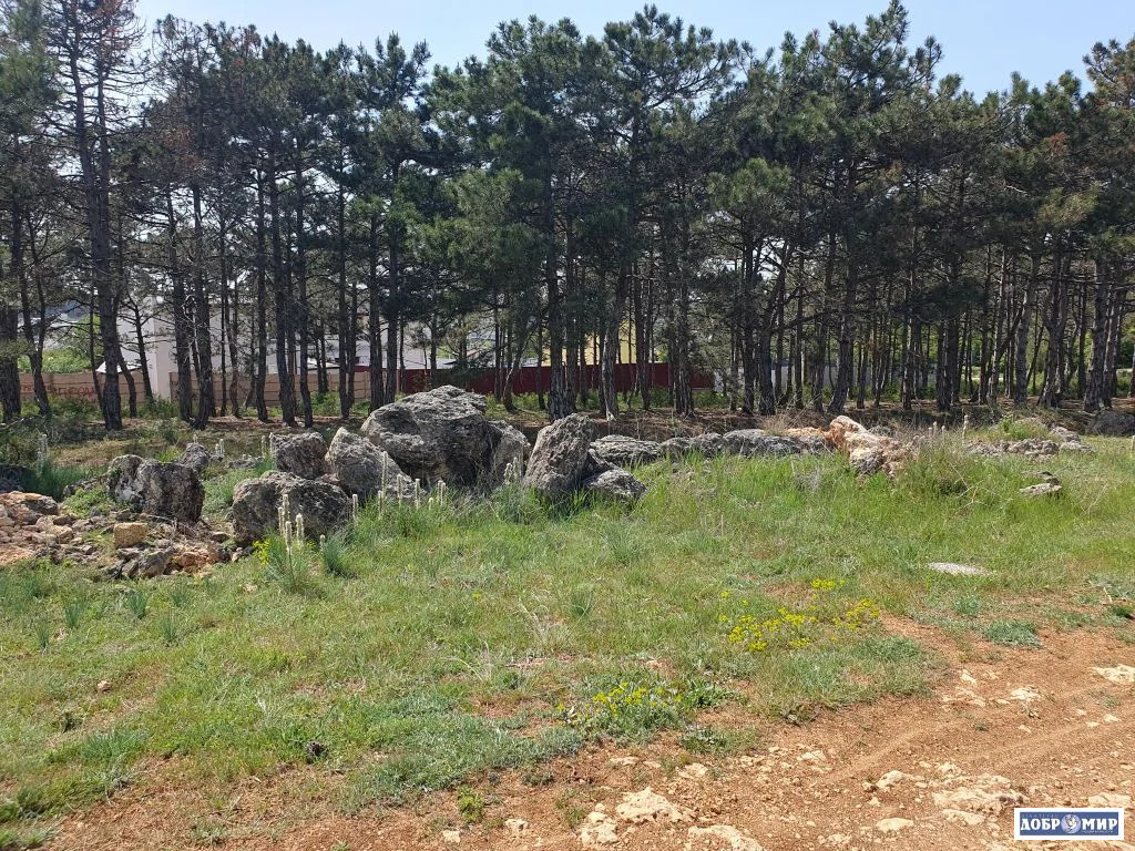 Продается Участок - Фото 7