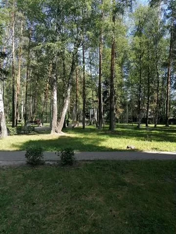 28642b362f852cfb5438ff034168612101 1 комн квартиру в поселке зеленый богородского района