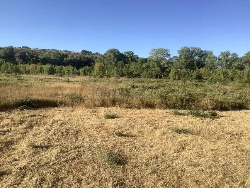 Продажа участка, Севастополь, ул. Речная - Фото 1