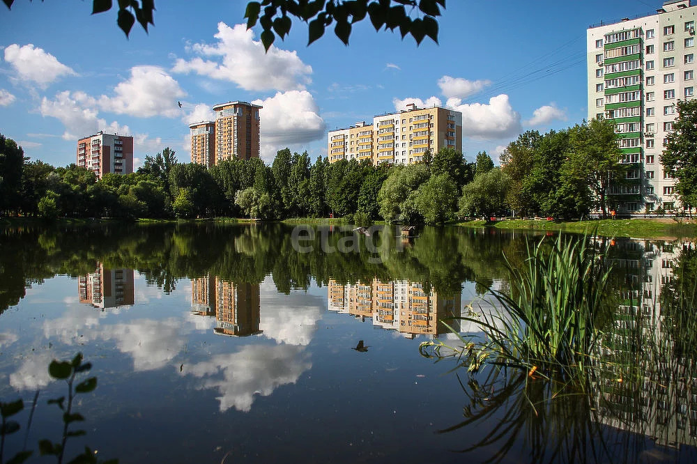 Улица красных зорь. Кунцево красных Зорь пруд. Красных Зорь Богдановский пруд. Богдановский пруд Москва. Кунцево улица красных Зорь.