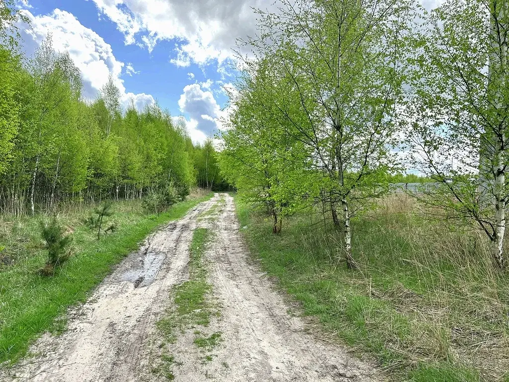 Дом в деревне Петрушино - Фото 14