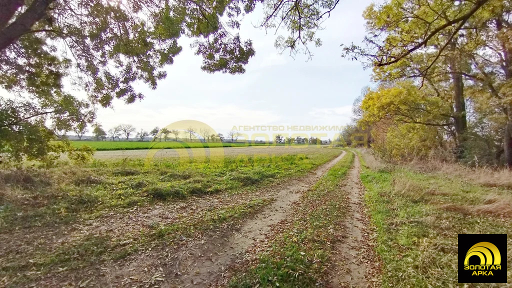 Продажа участка, Старотитаровская, Темрюкский район, Ильича пер. - Фото 3