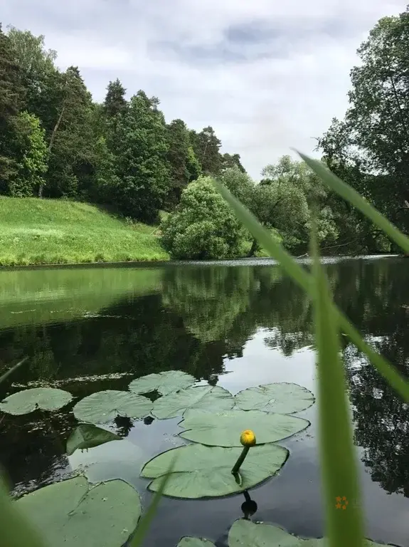 Продается участок с домом Городище, улица Лесная - Фото 33