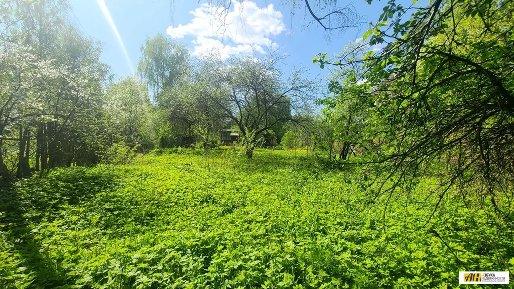 Продажа участка, Правдинский, Пушкинский район, Железнодорожный проезд - Фото 10