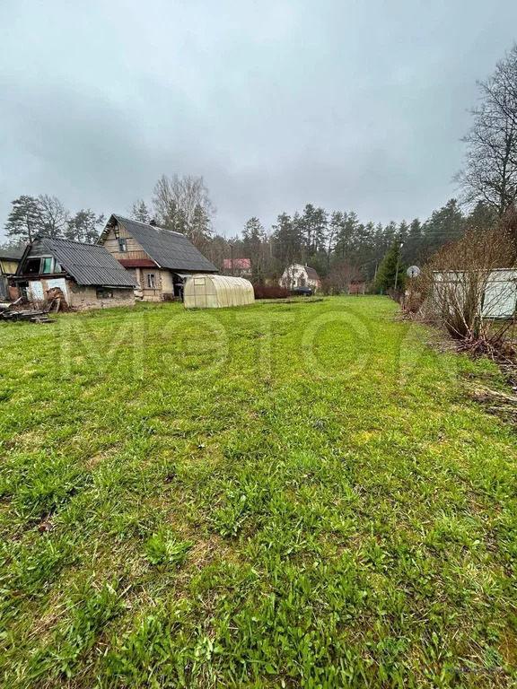 Продажа дома, Большие Крупели, Лужский район, Центральная улица - Фото 3