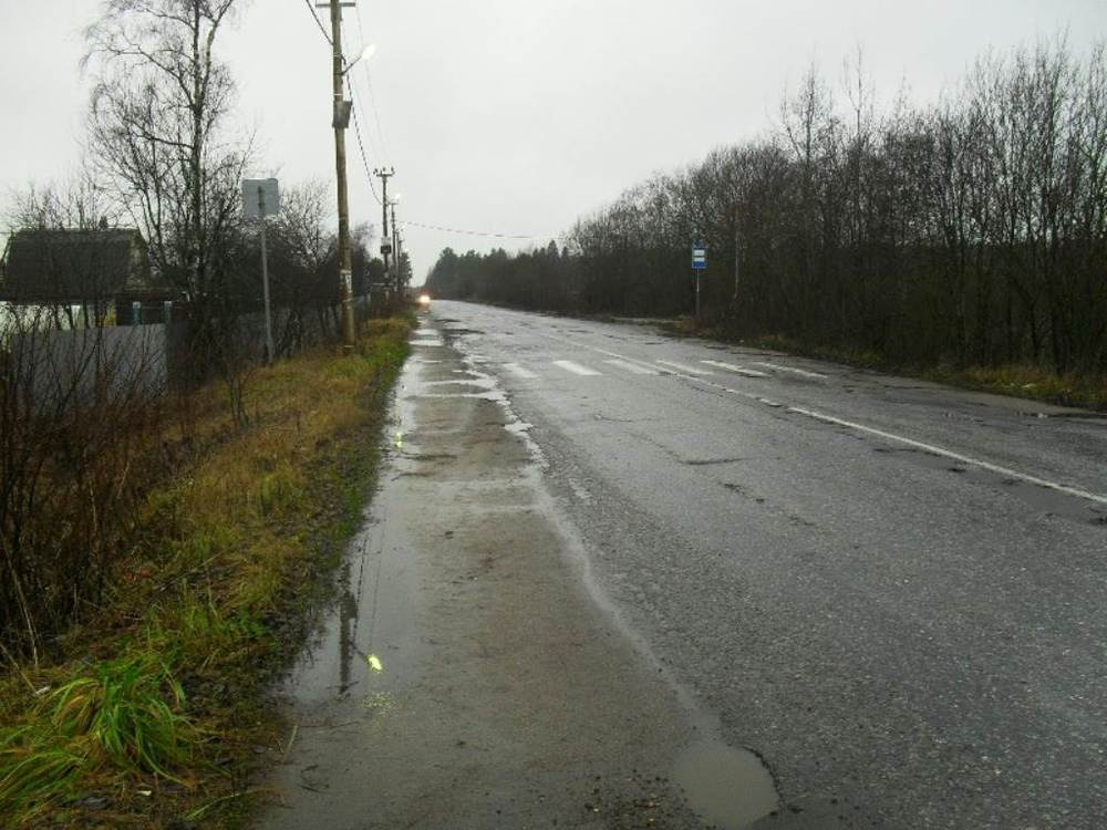 Погода в волковицах ломоносовского