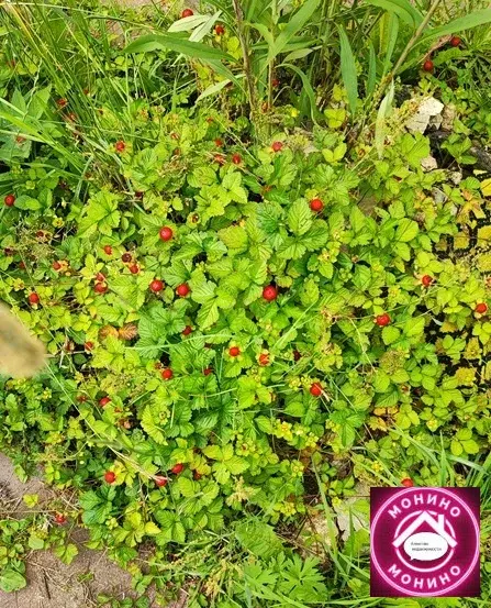 Продам дачу. - Фото 12