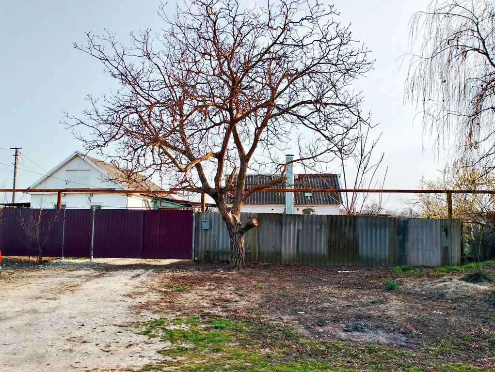 Продажа дома, Старонижестеблиевская, Красноармейский район, ул. ... - Фото 1