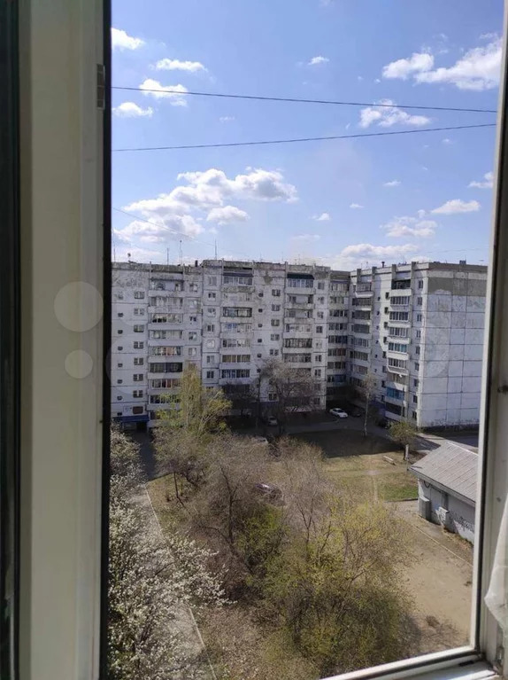 Конева 20/1 омск. Ул маршала конева 20. Улица свободы 15 киров. Конева 36/4 омск. Конева 20 омск.