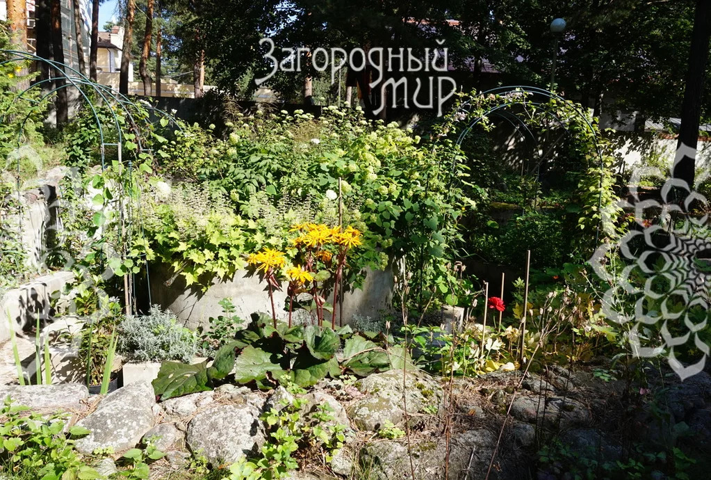 Продам участок, Новорязанское шоссе, 12 км от МКАД - Фото 9