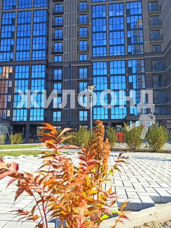 Продажа квартиры, Новосибирск, ул. Дмитрия Донского - Фото 42