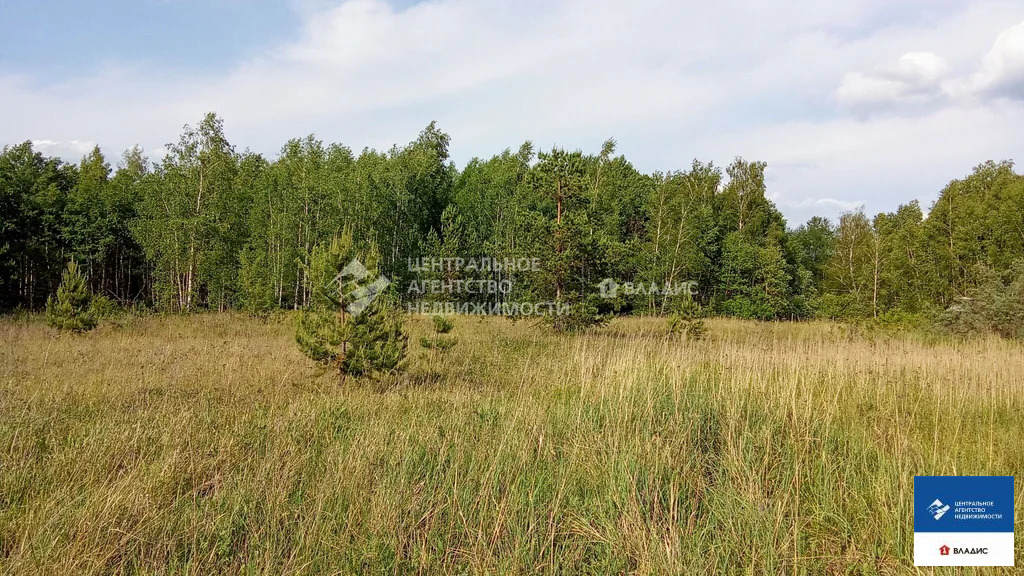 Продажа участка, Рязанский район, садоводческое товарищество ... - Фото 5