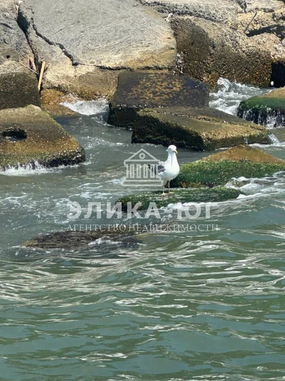 Продажа дома, Туапсинский район, Светлый пер. - Фото 6