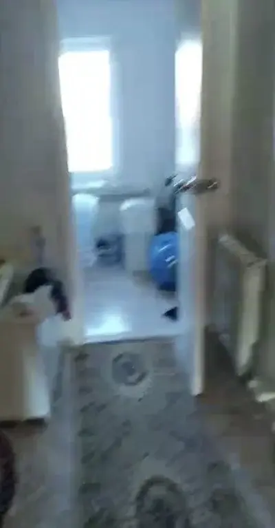 Курганская область Каргапольский р-он с. Брылино, ул. А. Антонова 18. - Фото 10