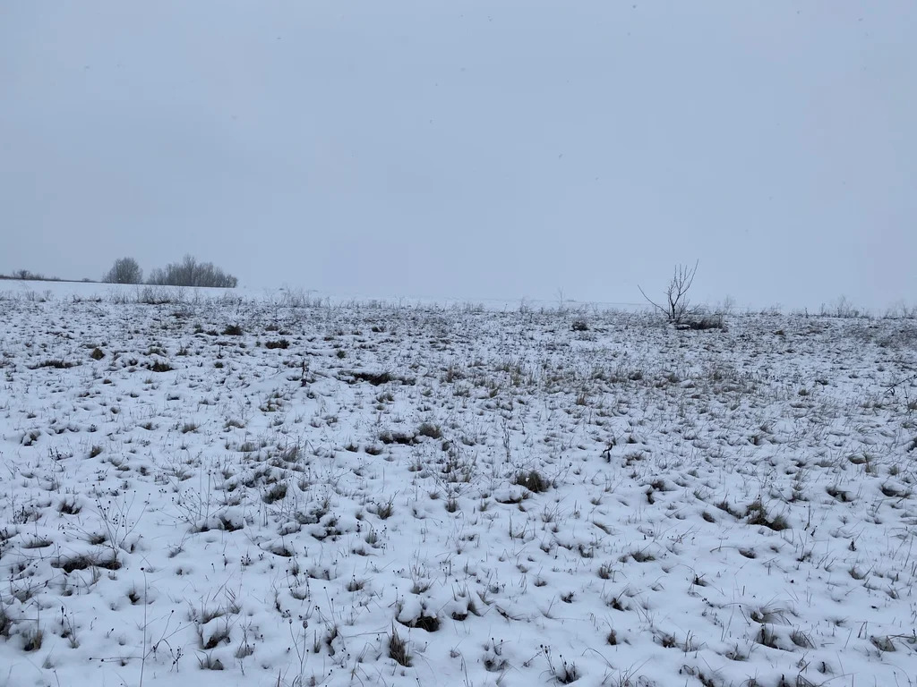 Продажа участка, Ильский, Северский район, ул. Западная - Фото 5