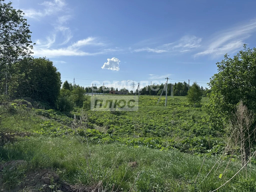 Продажа участка, Ивановка, Ленинский район - Фото 4