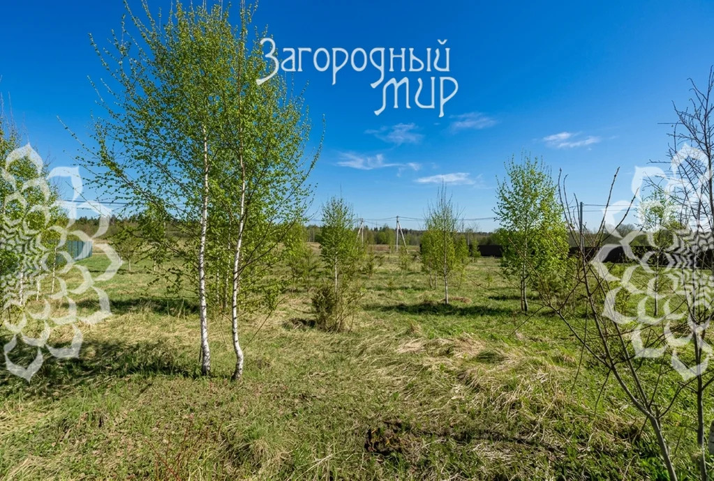 Продам участок, Волоколамское шоссе, 35 км от МКАД - Фото 9