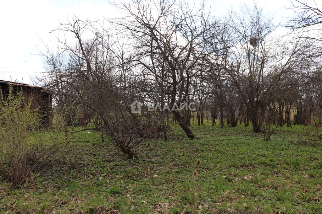 городской округ Шаховская, деревня Харитоново,  дом на продажу - Фото 32