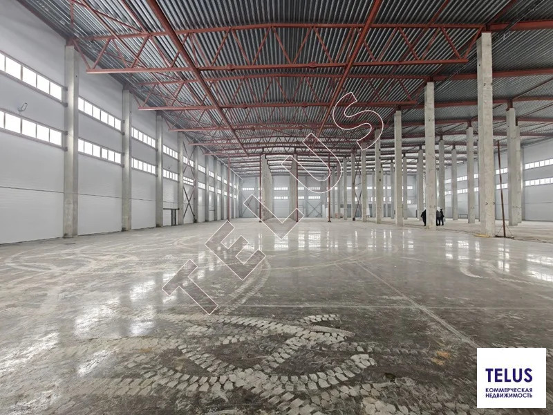 МО, Дмитров г.о., пос.свх. Останкино, Дорожная ул.,, 5450 м2, Склад на ... - Фото 18