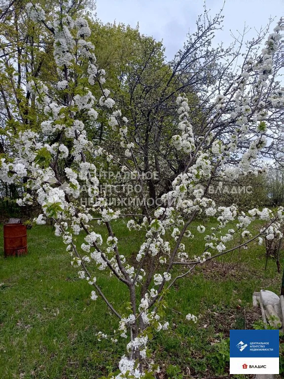 Продажа дома, Федоровка, Михайловский район, ул. Новый поселок - Фото 16