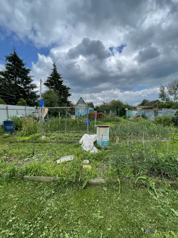 Продаю дачу 25 кв.м,  в с. Березнецово Ступинского района. - Фото 5