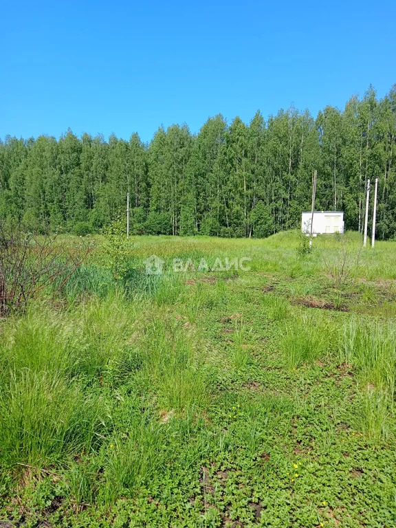 городской округ Дубна, Дубна, район Александровка, Черничная улица,  ... - Фото 8