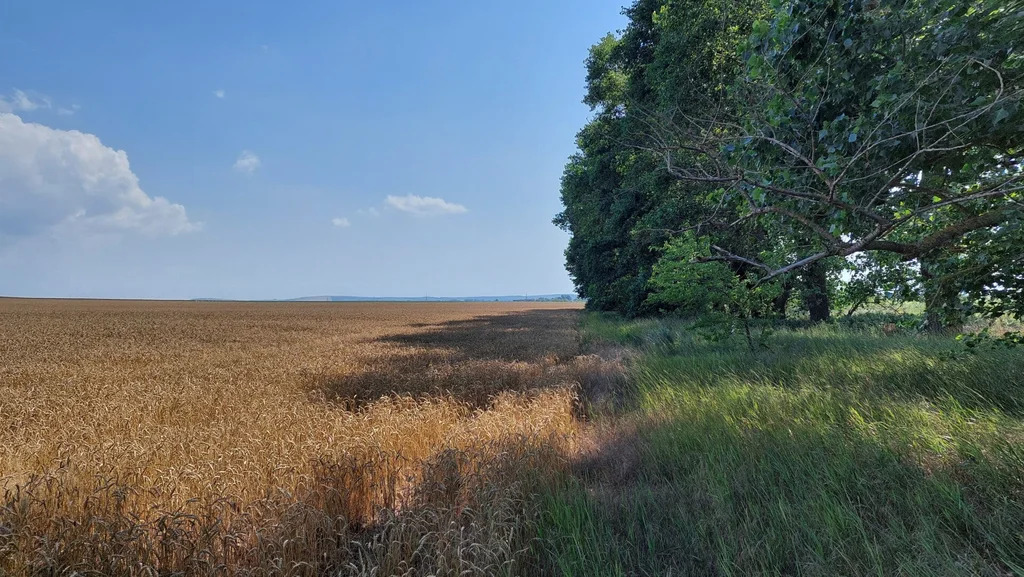 Продажа участка, Темрюкский район - Фото 1