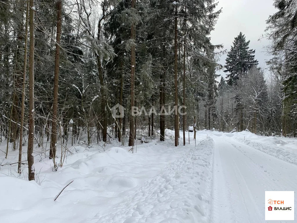 Продажа участка, Сазонки, Дмитровский район - Фото 3