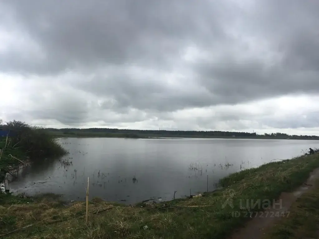 Купить участок 20.0 сот. Московская область, Можайский городской ... - Фото 10