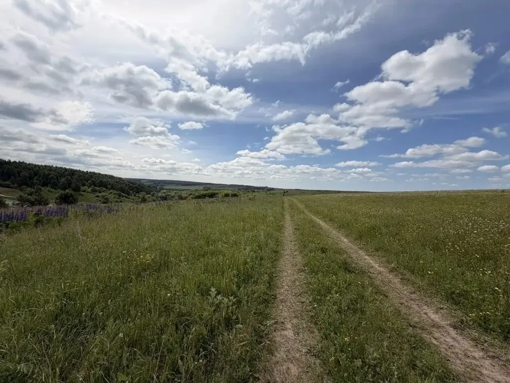 Купить участок 10.0 сот. Татарстан респ., Зеленодольский район, ... - Фото 3