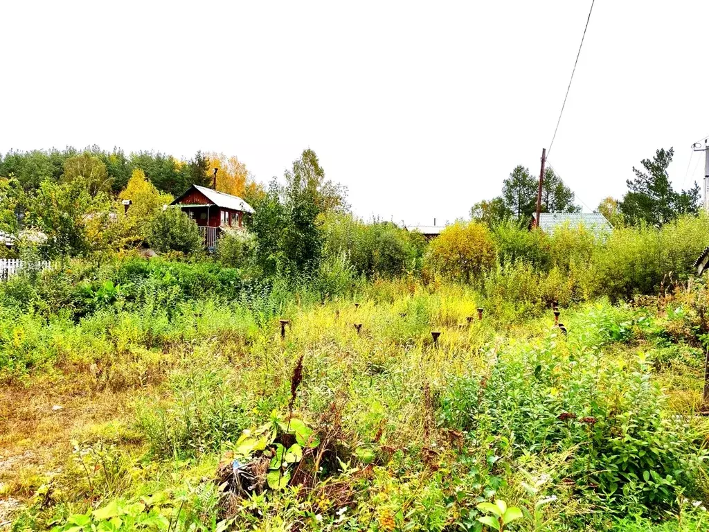 Поселок палкинский торфяник екатеринбург фото