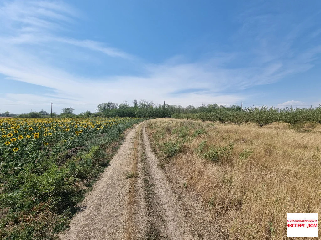 Продажа участка, Ломакин, Неклиновский район, ул. Новая - Фото 14