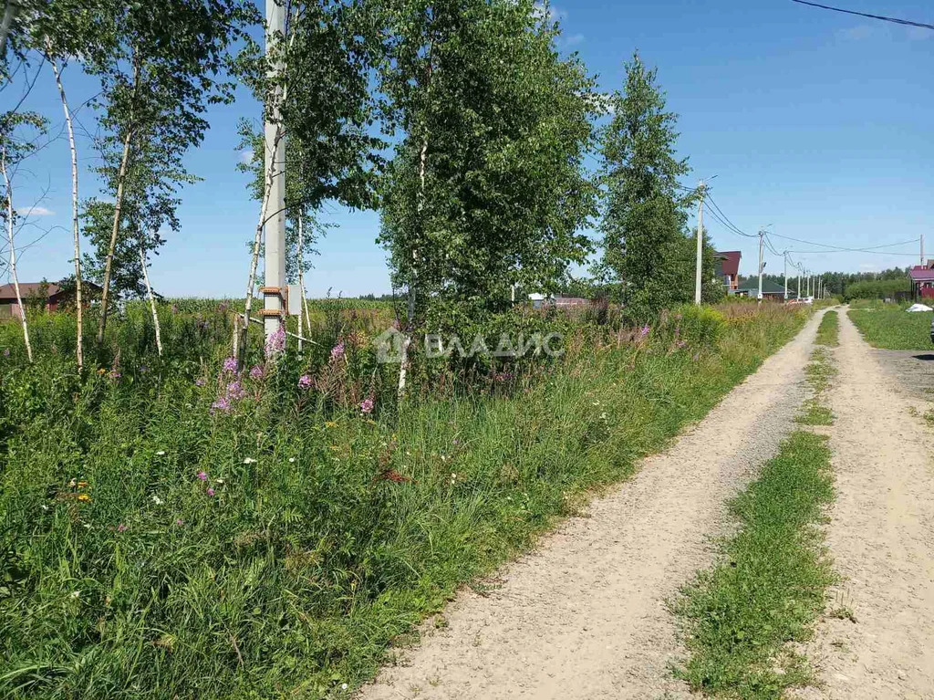 Собинский муниципальный округ, село Бабаево, Родниковая улица,  земля ... - Фото 3