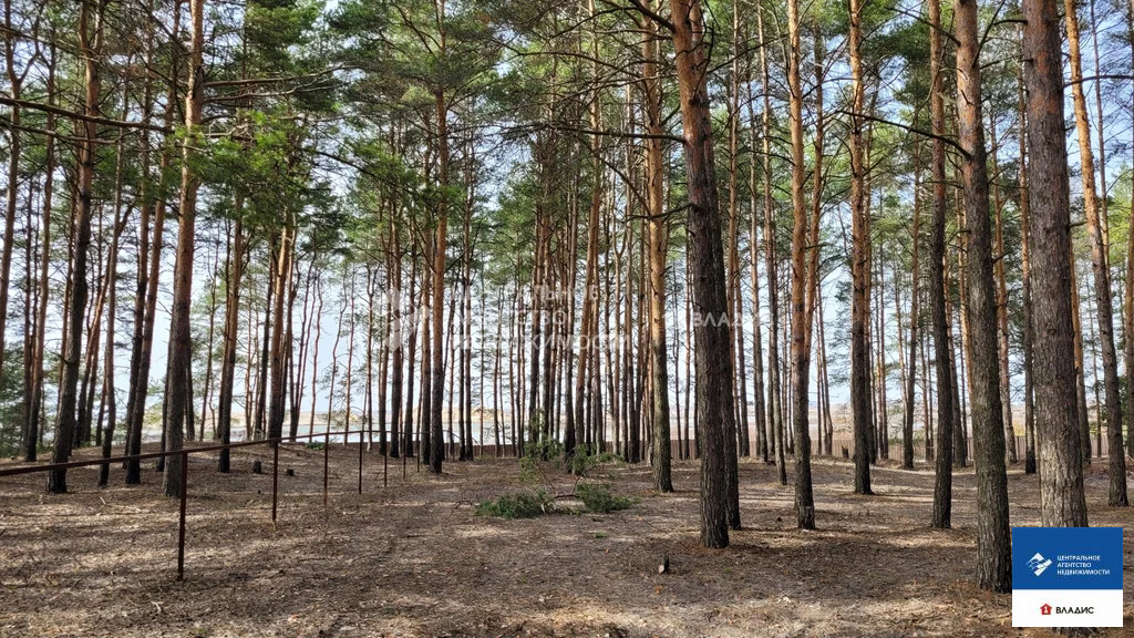 Продажа участка, Рязанский район - Фото 11