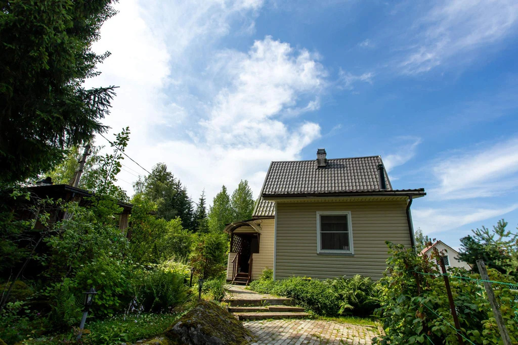 Дача у Вуоксы, всего 200 метров до воды – живите ближе к природе! - Фото 10