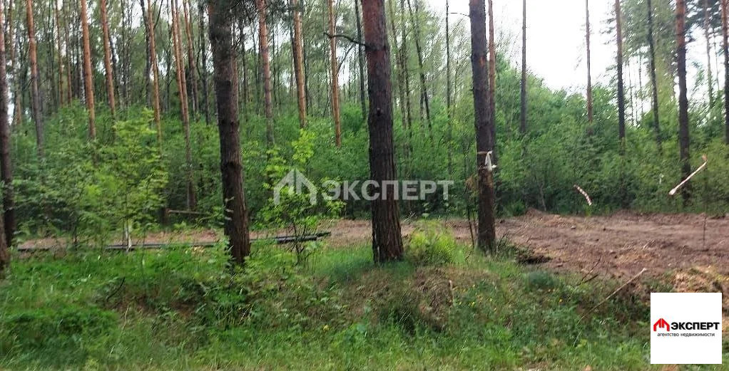 земельный участок, д. Бынино - Фото 2