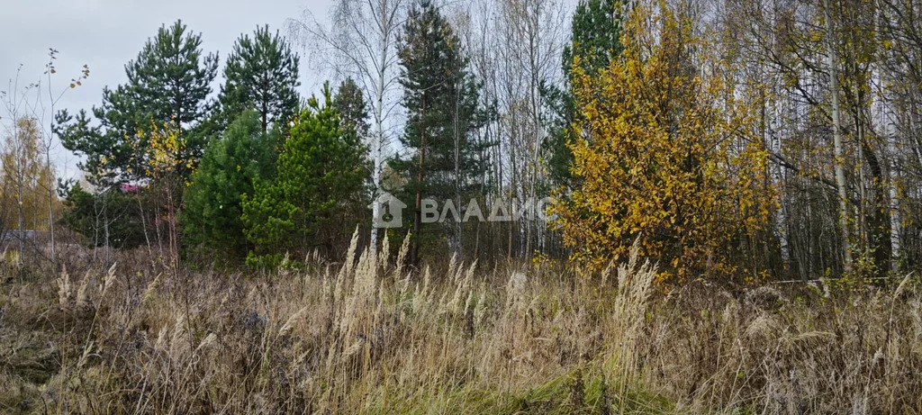 городской округ Владимир, Владимир, Октябрьский район, микрорайон ... - Фото 6