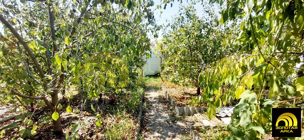 Продажа дома, Крымск, Крымский район, ул. 3-го Интернационала - Фото 15