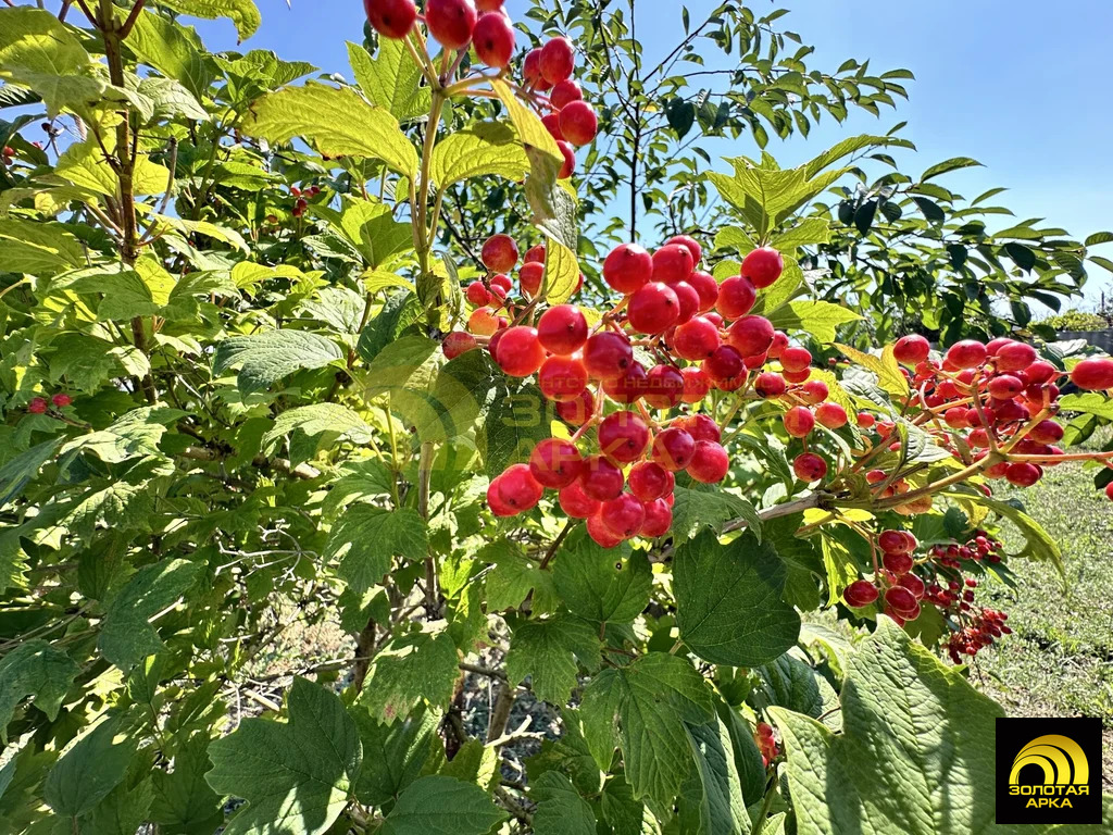 Продажа дома, Старотитаровская, Темрюкский район, Ильича пер. - Фото 15