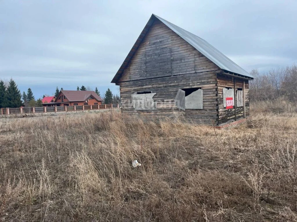 Продажа дома, Боровое, Новосибирский район, ул. Трактовая - Фото 3