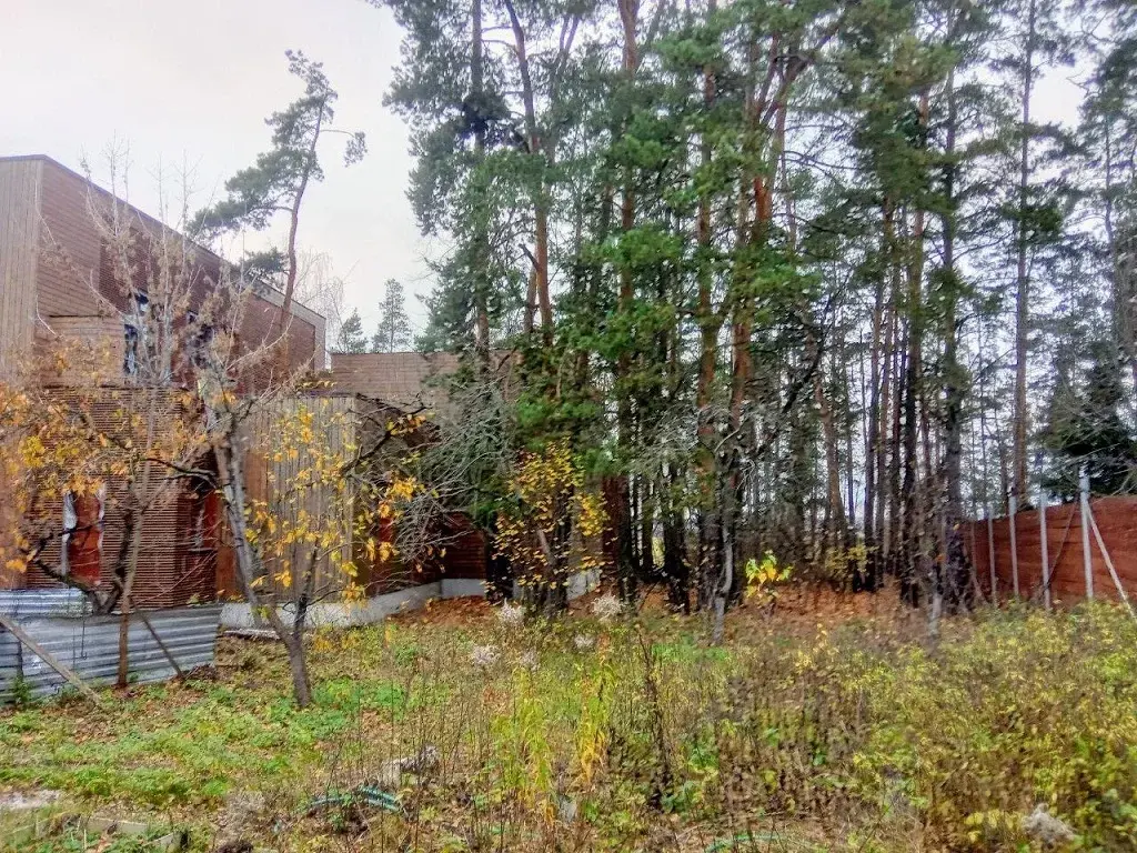 Участок на высоком берегу Москва - реки в Барвихе, Рублевка 5 км. - Фото 8