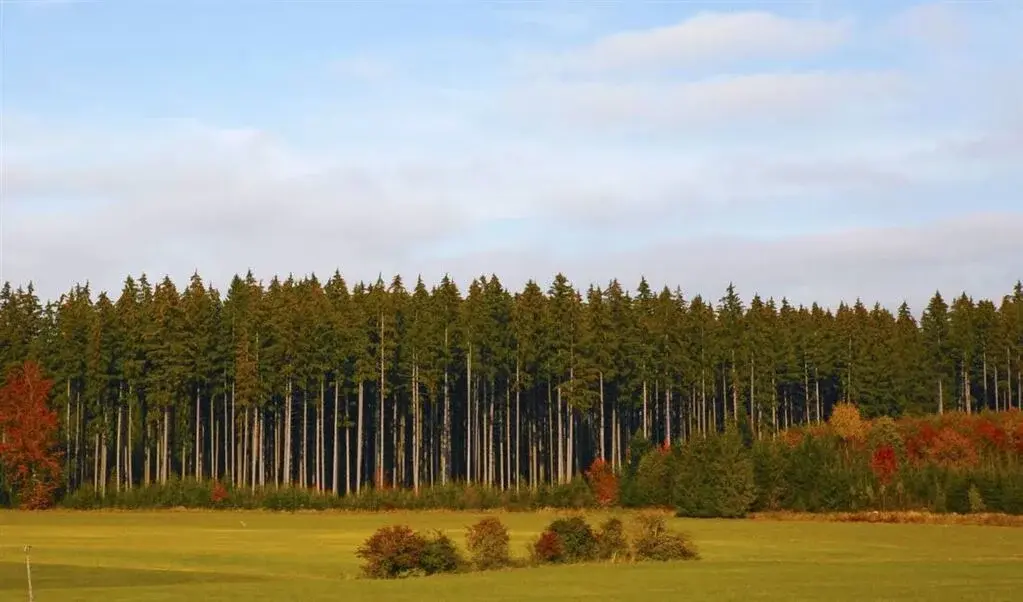 Продаются участки в КП Шелест Парк - Фото 0