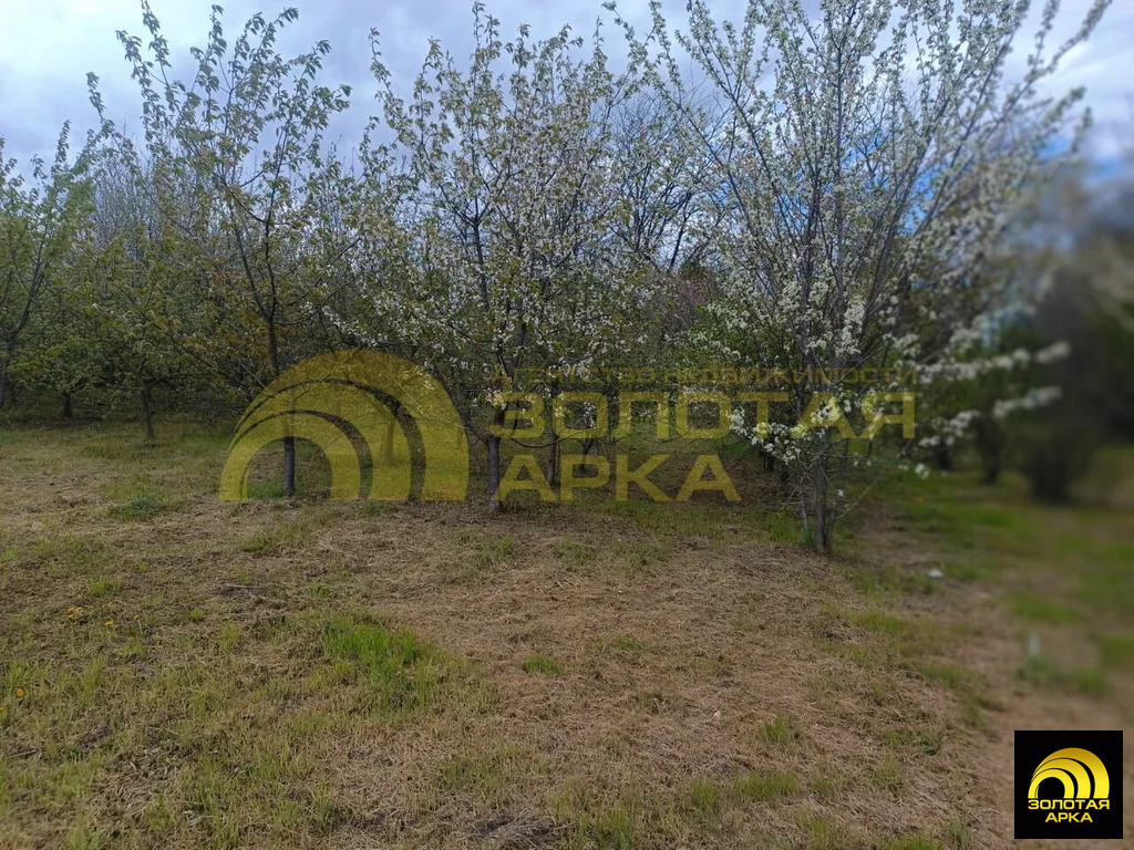 Продажа дома, Мингрельская, Абинский район, ул. Литвинова - Фото 28
