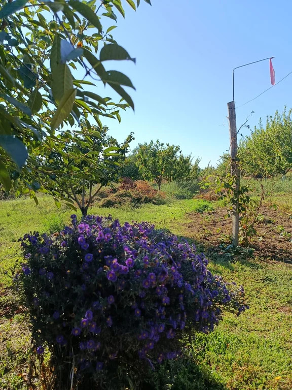 Продажа дома, Стрелка, Темрюкский район, ул. Мичурина - Фото 29