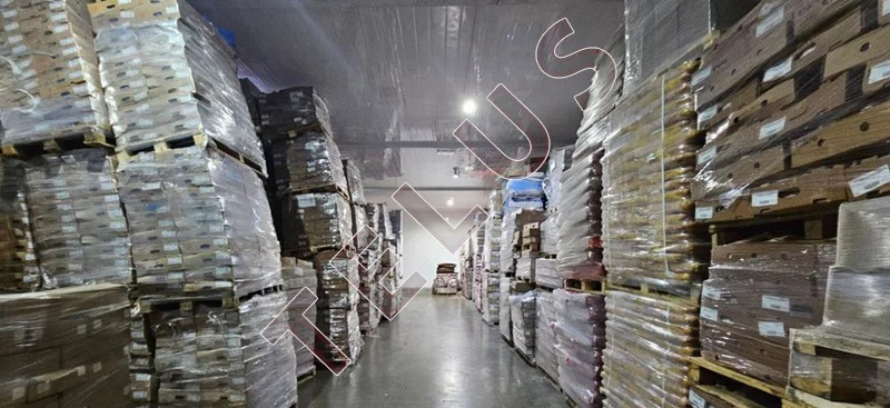 МО, Домодедово, Каширское Шоссе, 7752 м2, Складской комплекс (ном. ... - Фото 14