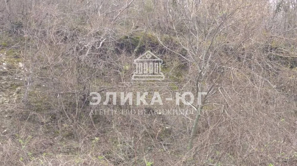 Продажа участка, Новомихайловский, Крымский район, Мира ул. - Фото 10