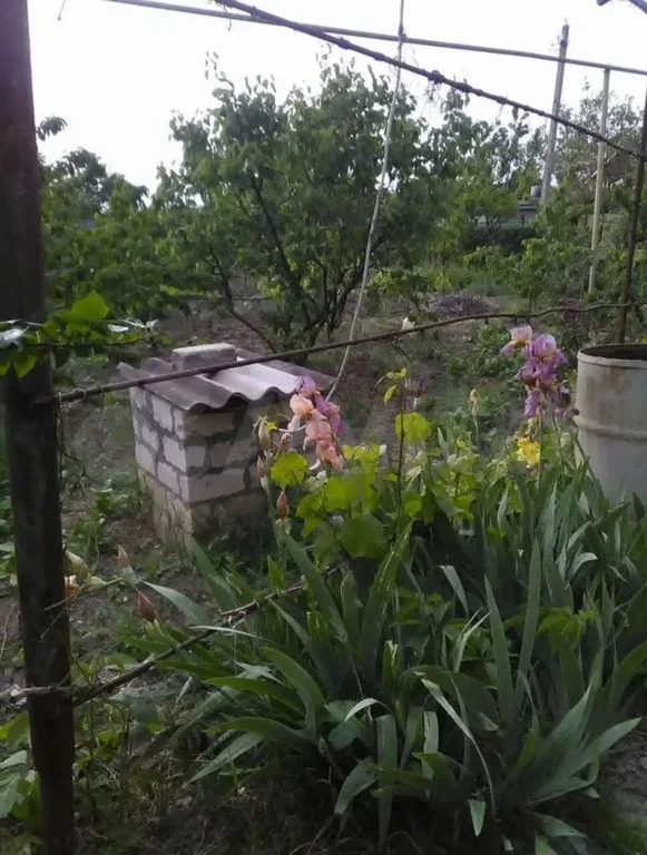 Продажа дома, Афипский, Северский район, ул. Почтовая - Фото 10