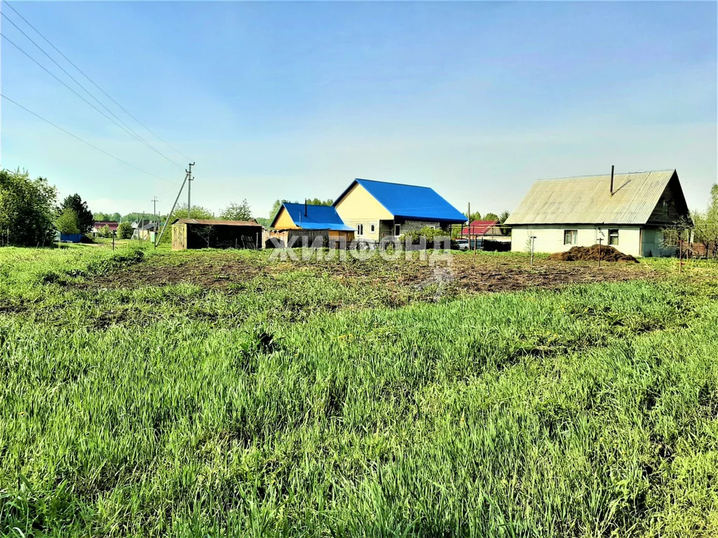 Купить Дом В Ижс Светлый Мошковский Район