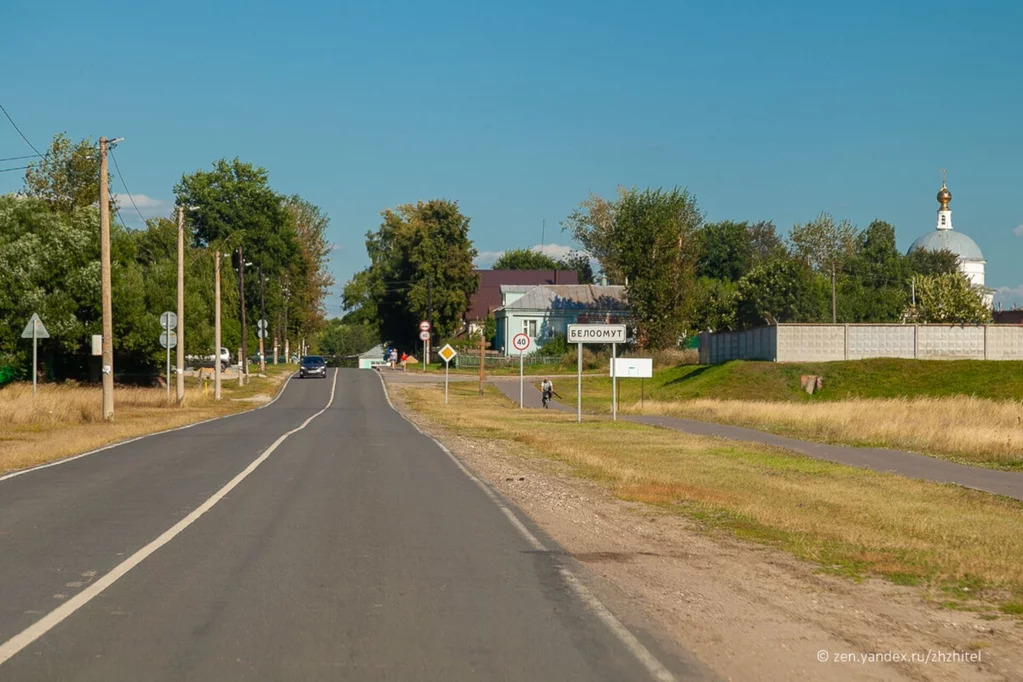 Белоомут луховицы фото