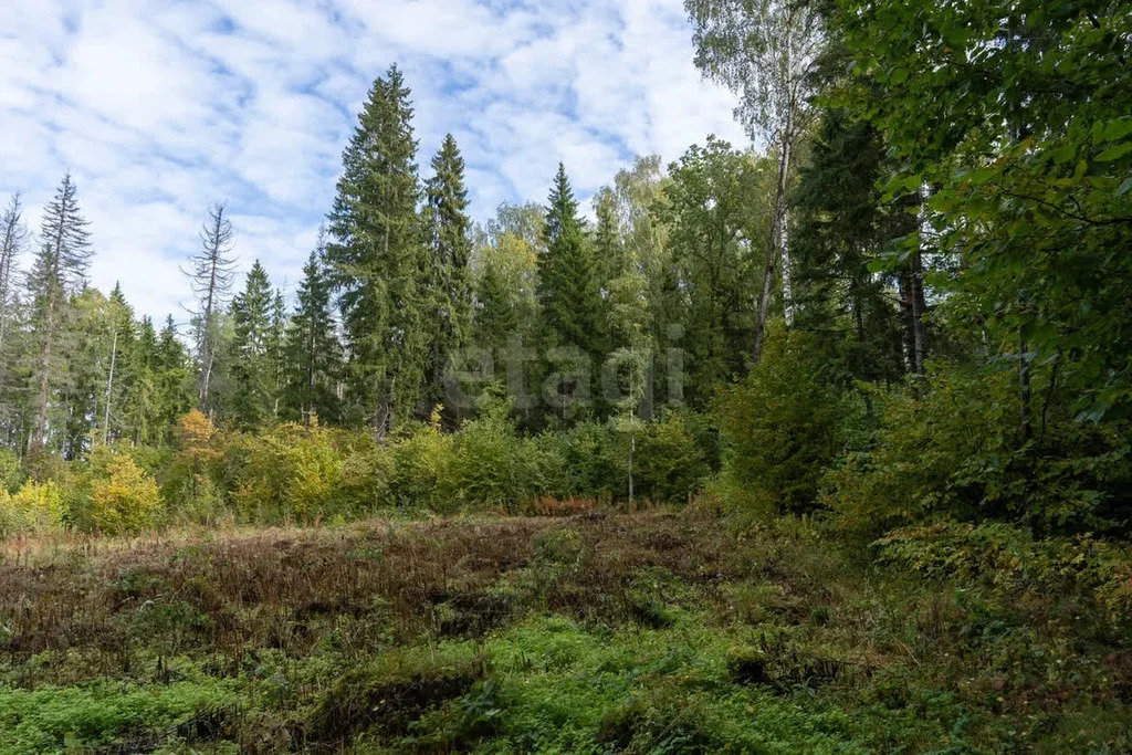 Продажа участка, Бужарово, Истринский район - Фото 2